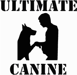 Silver | Ultimate Canine